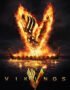 Vikings poster