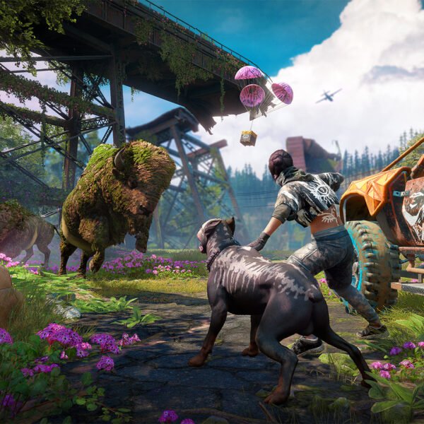 Far Cry New dawn - Game image