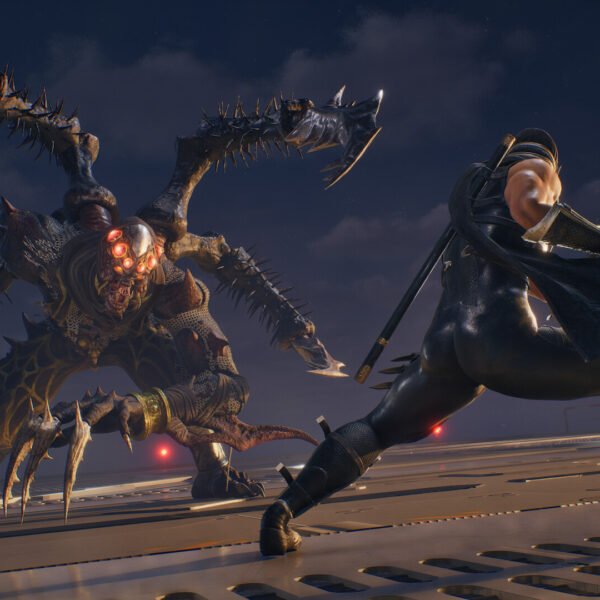 Ninja Gaiden 2 Black - Game image