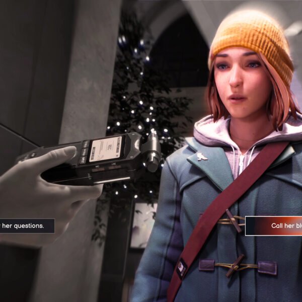 Life is Strange Double Exposure - Game image