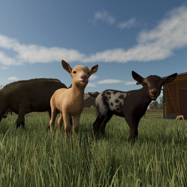 Farming Simulator 25 - Game image