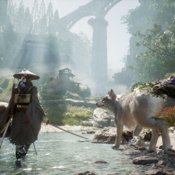 Beast of Reincarnation - Game image