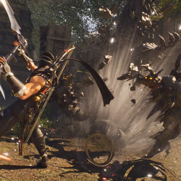 Ninja Gaiden 2 Black - Game image