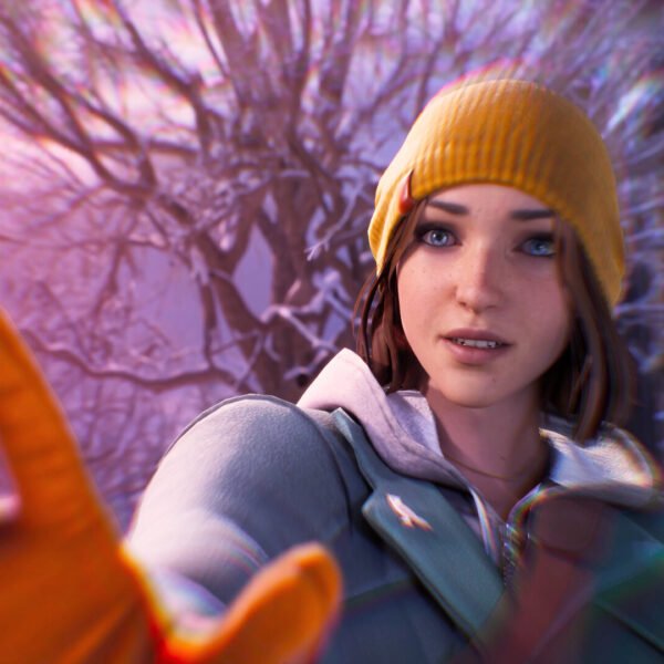 Life is Strange Double Exposure - Game image