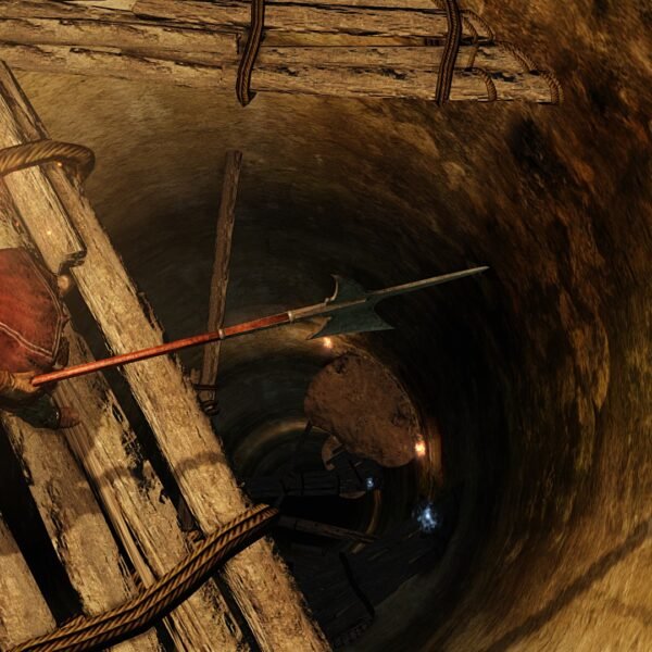 Dark Souls II - Game image