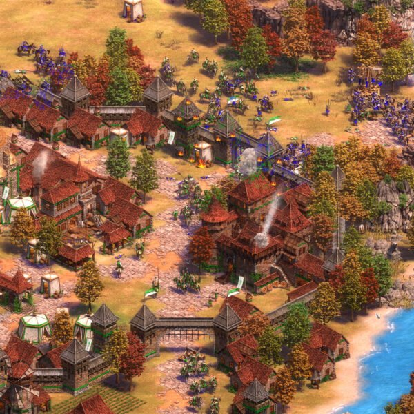 Age of Empires II Definitive Edition - Game image