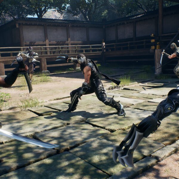 Ninja Gaiden 2 Black - Game image