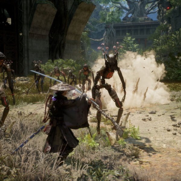 Beast of Reincarnation - Game image