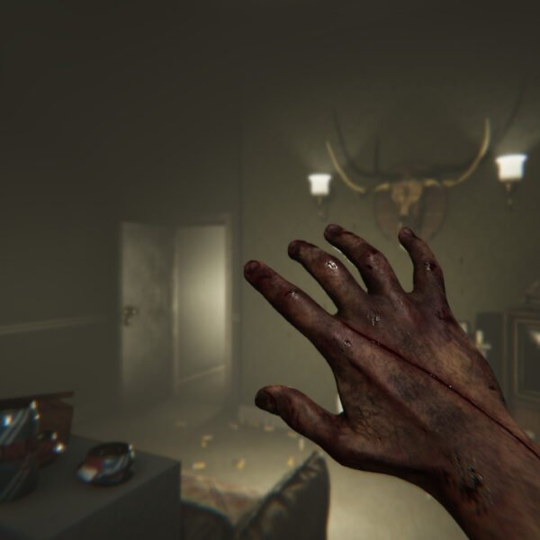 MADiSON - Game image