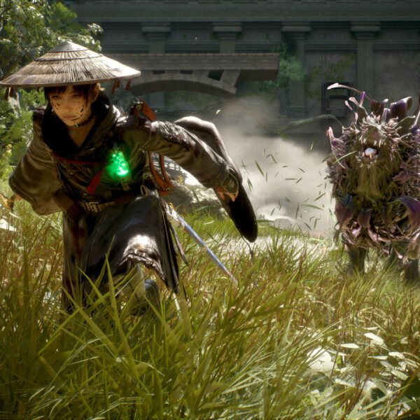 Beast of Reincarnation - Game image